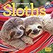 Produktbild The Original Sloths 2018 Calendar