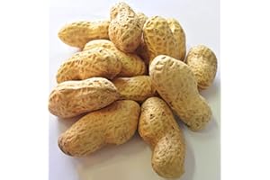 Faunamix Cacahuetes con cáscara crudos. Complemento alimenticio para Loros (10 kg)