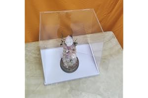 MEEC Vetrina apribile in acrilico trasparente, per montare la scatola da bancone con fondo bianco per vetrina trasparente, vetrina antipolvere per action figure giocattolo (10 x 10 x 10 cm)