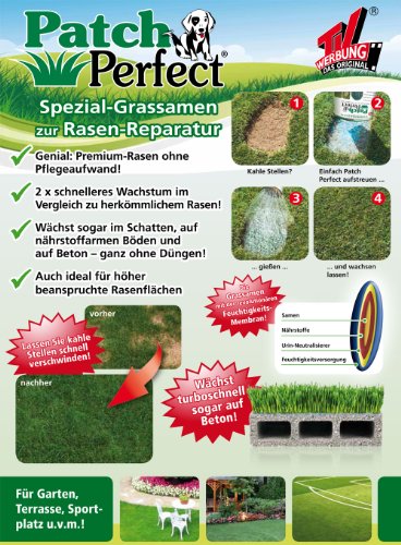 TV Das Original 04861 Patch Perfect Spezial-Grassamen zur Rasen-Reparatur