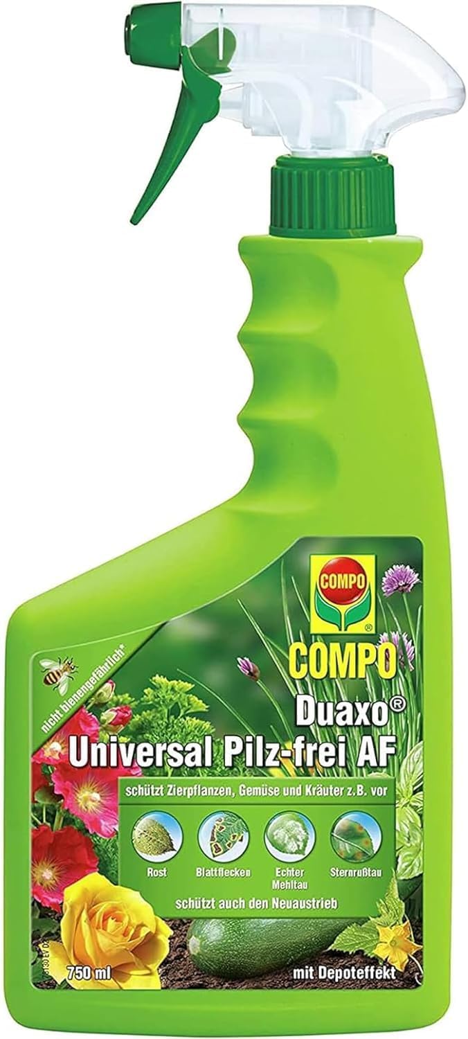Vue 10