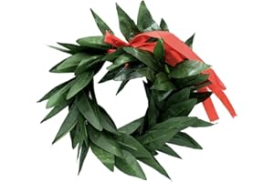 FOXNEC Laurel Crown Graduation Plastic Man Woman with Red Bow and Fake Berry for Party Accessories (Crown-C)