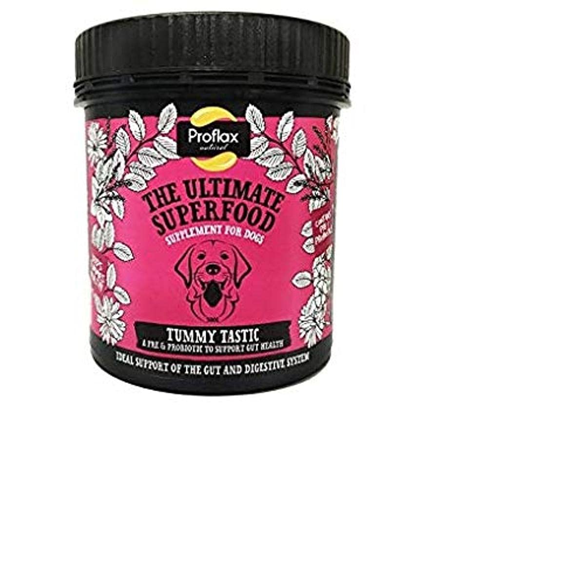 Proflax Tummy Tastic Supplement, 350 g