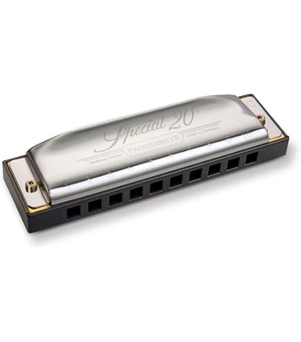 Hohner Harmonica Echo Harp 64 in Tone C/G: Buy Online at Best