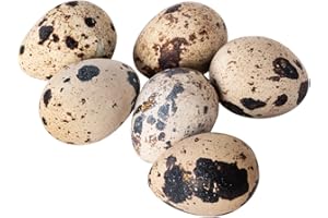 LONDON GROCERY Fresh Quail Eggs – 24 Units | Premium Quality | Rich Flavor & Nutrient-Dense Mini Eggs