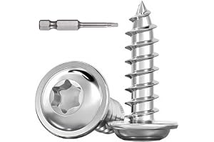 Dayalo 30 stycken plåtskruvar Torx M5 x 16 mm, rostfritt stål A2 V2A med bit