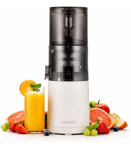 Hurom H310A Personal Self Feeding Slow Masticating Juicer