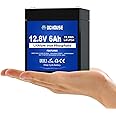 DC HOUSE 12V 6Ah Mini Lithium LiFePO4 Deep Cycle Battery, 3000+ Cycles Lithium Iron Phosphate Rechargeable Battery for UPS, Lighting, Power Wheels, Fish Finder and RV, Built-in BMS