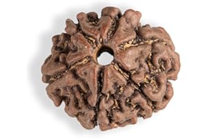 Wonder Care - Perlina Rudraksha originale/Perlina Rudraksha Perlina naturale del rosario religioso Rudra_6mukhi rudraksha
