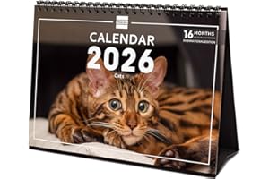 Finocam - Calendario da tavolo 2026 Mese Vista Gennaio - Dicembre 2026 + Sep.- Dic. 2025 4 mesi ridotti | Calendario 2026 | Cats Immagini - Internazionale, Tavolo Imagini, S - 210x150 mm
