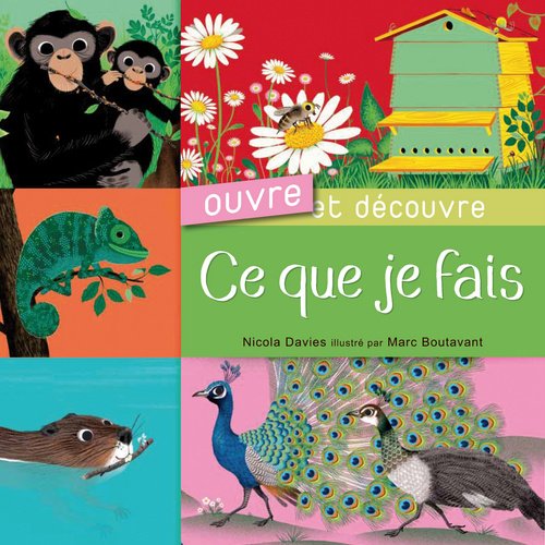 couverture de : Ce que je fais