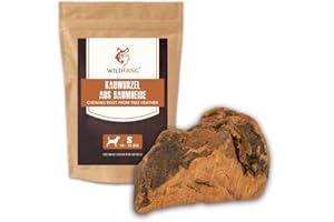 Wildfang® Kauwurzel aus Baumheide für Hunde, Größe S - Natürliches Kauspielzeug Hund, splitterfreies Hundespielzeug unzerstörbar zur Zahnpflege Hund & Welpenspielzeug (für Hunde unter 15 kg), 1 Stück