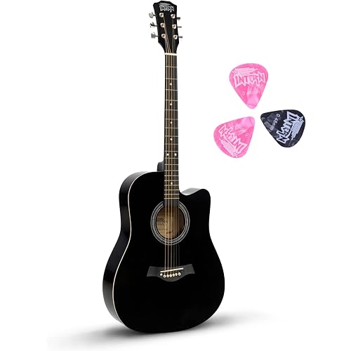 Intern 41 Inch Guitar for Beginners With Truss Rod | musical instrument for adults | Acoustic guitar | Linden wood With Picks. (Black)