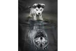 DCIDBEI 5D DIY Diamond Painting Eckige Steine 40x50 cm Square Drill Diamond Painting Hund Wolf Spiegelung Diamant Painting Bilder Tiere Kreuzstich Stickerei Diamant Malerei Malen nach Zahlen Kinder