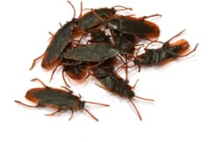 BEITO 10 pezzi falsi scarafaggi di scarafaggi di plastica realistici Insetti di scherzo giocattoli scherzi scarichi bug per gli sciocchi.