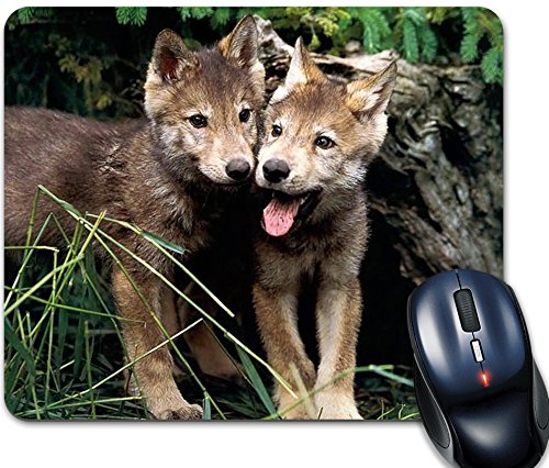 Preisvergleich Produktbild FS - Mauspad louveteaux