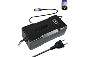 YZPOWER 48V 4A Chargeur De Batterie pour Trottinette Électrique, Sortie 54.6V Chargeur De Batterie 48V 13S Li-ION Lithium, Vélo Trottinette Électrique, E-Bike, avec 3 Broches XLR (1+,2-3-) Connecteur
