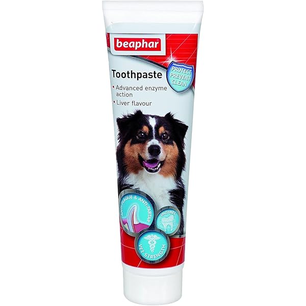 Boshel Fingerzahnbürsten-Set Für Hunde & Katzen – 8 Stück, Mit Silikon- & Nylonborsten, Tierarzttauglich