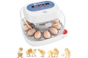 Sailnovo Incubadora para 12 Huevos con 4 Modos, Incubadora de Huevos con Volteo Automático y Monitor de Humedad, Lámpara de Huevo, Incubadora Huevos Gallina Vista 360° Ventana Transparente, Azul