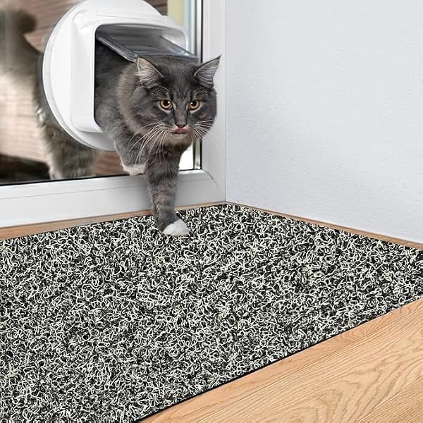 Buy CURSHEET HOMZ Cushion Noodle Rectangular Mat for Home Entrance