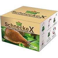 Florissa Natürlich 28365 SchneckeX, Grün