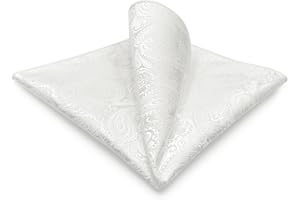 S&W SHLAX&WING Carré De Poche Paisley Traditionnel 32cm Costume Mariage Cérémonie Haut De Gamme