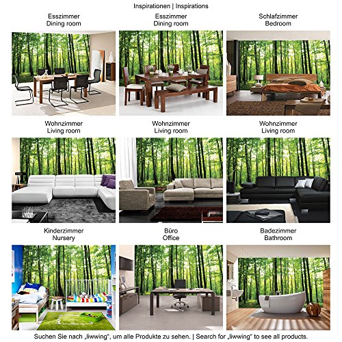Vlies Fototapete 400×280 cm PREMIUM PLUS Wand Foto Tapete Wand Bild Vliestapete – Wald Tapete Bäume Wald Sonne Wiese grün – no. 528 - 5