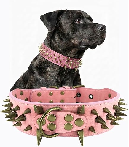 COLLARE PER CANE METALLO SCALETTA CM 50 TIPO PESANTE (14470 - Foto 5