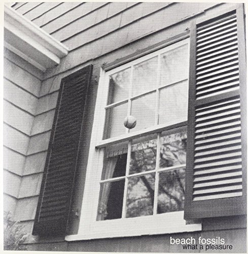 Preisvergleich Produktbild What a Pleasure [Vinyl LP]