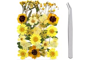 WJIAEER 32 STÜCKE Natürliche Geprägte Trockenblumen, Getrocknete Blumen, DIY Gepresste Blumen Trockenblumen zum Basteln Trockenblumen