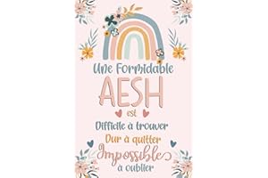 Une Formidable AESH est difficile à trouver, dur à quitter, impossible à oublier: Carnet de notes, Idée cadeau personnalisé pour AESH fin d'année, remerciement, Noël