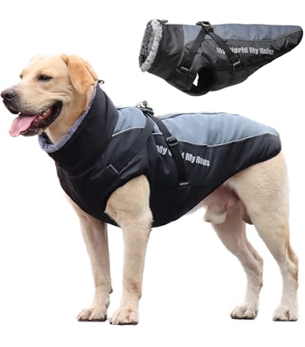 DOGOPAL Waterdichte hondenjas, winterjas en hondenregenjas met fleecevoering, reflecterend en winddicht, regenjas voor kleine, middelgrote en grote honden, perfect voor koud weer (45