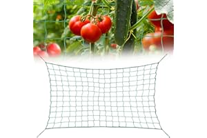 HIQE-FL Stütznetz Gartennetz 2x2.5m,Ranknetz für Gurken,Ranknetz Rankhilfe Pflanzennetz,Ranknetz Gewächshaus,Pflanzennetz,Ranknetz Rankhilfe,Rankhilfe Netz,Ranknetz Grün