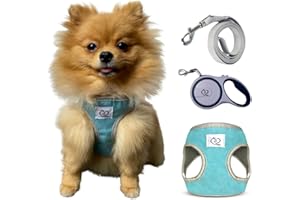 Belffy Set Imbracatura e Guinzaglio Regolabile con Pettorina Automatica per Gatto, Cane, Cucciolo. Pettorina Traspirante Antifuga e Guinzaglio per Animali di Piccola/Media/Grande Taglia (Grande, Blu).