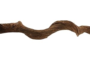 REPTILES PLANET Liane naturelle pour terrarium reptiles Premium Vine Sambawa S longueur 100-120 cm diamètre 4-6 cm