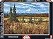 Produktbild Educa 16008 - Denali National Park, USA, 1500 Teile Puzzle
