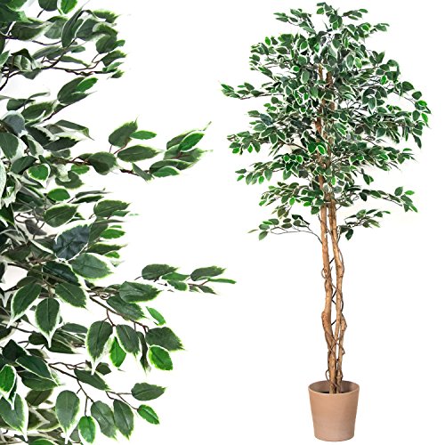 Großer grüner Ficus Baum, Echtholzstamm, Kunstbaum, Kunstpflanze, Dekobaum – Variante: 160 oder 190 cm - 2