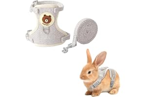 COYUN Verstellbares Kaninchen Leine, Verstellbare Katzengeschirr Verstellbares Kaninchen Geschirr Haustier Leine für Katzen Kaninchen Hunde Kleine Haustiere (1.5-2.5kg)