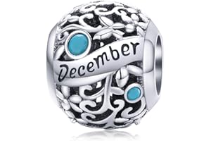 Lorrifal Ciondoli Originali in Argento Sterling 925 con Zirconia Cubica Pietra di Nascita Charm Portafortuna Adatti per bBraccialetti Pandora, Collane e Gioielli Perfetti per Compleanno