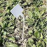50PCS White Waterproof Plastic Nursery Garden Labels Curved T-Type Plant Tags Markers