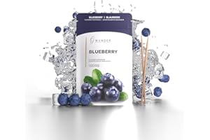 PERFEKTO24 Wunder Stuzzicadenti - In 8 rinfrescanti varietà - Stuzzicadenti aromatizzati - Stuzzicadenti Mirtillo - contro l’alitosi - freschezza del respiro - Igiene Dentale - 100 Pezzi (Refill)