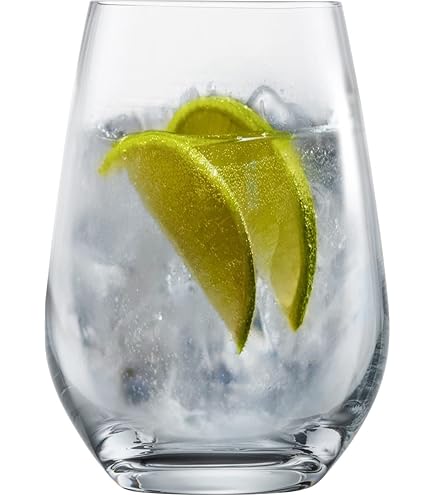 Alpina Gin Tonic Glazenset 730 ml 4 Stuks - Grootste van NL