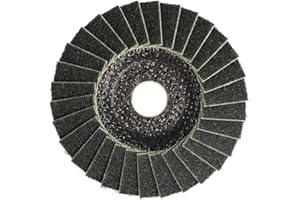 MASIDEF Disco Abrasivo Lamellare per Acciaio Inox, Grana 240, Misura Ø 125 x 18 mm, Confezione da 1 pezzo