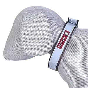 Pets Like Dog Reflective Collar Brown(25mm), GE-GE2015B