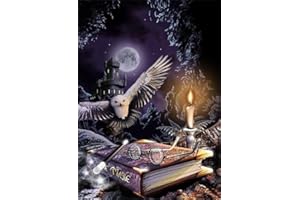 GLXPOG Harry Pot Diamond Painting, Peinture Diamant Harry Diamant Kit Complet, DIY 5D Diamond Painting pour Adultes Enfants Croix Broderie Cristal Painting Murale Décoration 30x40cm