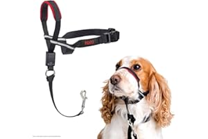 COMPANY OF ANIMALS Collare a cavezza HALTI Optifit - Per impedire che il cane tiri il guinzaglio, regolabile con fascia per il muso imbottita. Collare anti-trazione per l’addestramento di cani di taglia media (Taglia M)