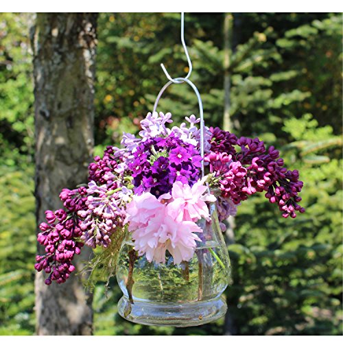 Windlichter, 12 Stück mit Henkel, Laterne Glaslaterne Garten-Deko, Ø 9cm - 3