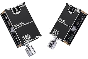 SIKKEBY Amplificador HiFi con Bluetooth 5.1, ZK-1001B placa amplificadora de audio 100W Mini TWS módulo amplificador de audio mono con entrada BT/AUX/USB, DC 7-24V kit de altavoces DIY (2 uds.)