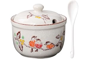 TuYines Zuccheriera in ceramica, zuccheriera con coperchio e cucchiaio, barattoli in ceramica, portaspezie con coperchio per zucchero, sale, formaggio, spezie