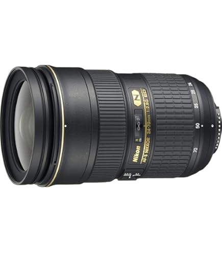 Tamron Objectif SP 24-70 mm F/2,8 Di VC USD - Monture Nikon